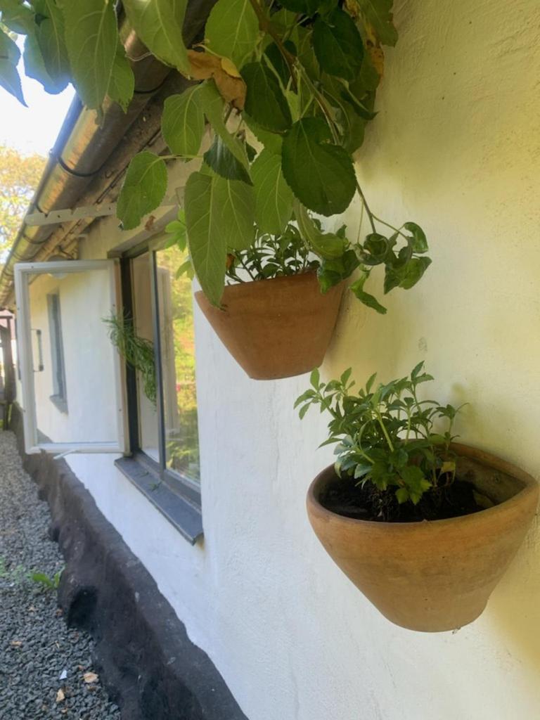 Millans Dockhus Villa Onslunda Ngoại thất bức ảnh